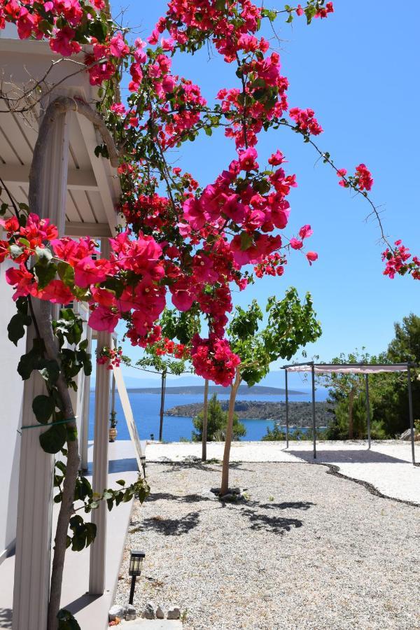 Avatonblue Villa Nafplio Vivári المظهر الخارجي الصورة