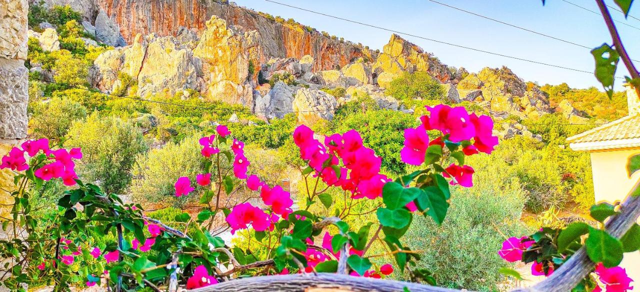 Avatonblue Villa Nafplio Vivári المظهر الخارجي الصورة